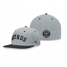 Houston Astros Gray Black Team Fitted Hat